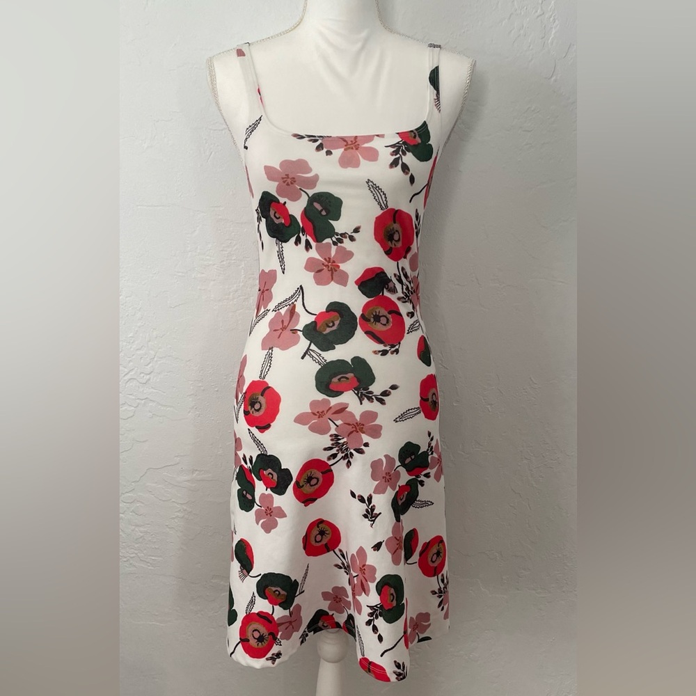 Zara Trafaluc Poppy Print Dress